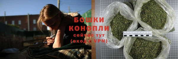 молекула духа Михайловск