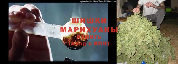 молекула духа Михайловск