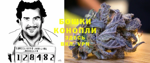 молекула духа Михайловск